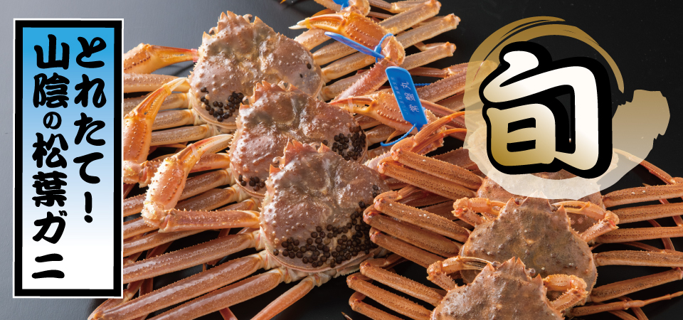 とれたて！山陰の松葉ガニを通販で！